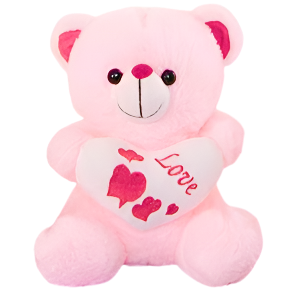 Teddy Bear Plush Toy 25cm